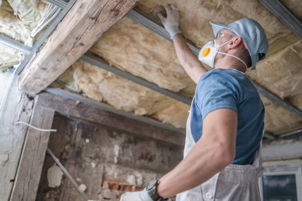 Best Affordable Insulation Services  in Palatka, FL